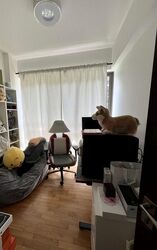 The Inflora (D17), Condominium #458768251